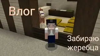 Забираю клубного жеребца🫶🏻🩷 | Влог на конюшне | кск в Майнкрафт | кск мираж |#лошади #minecraft
