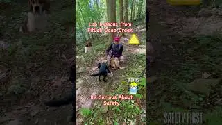 Be Serious About Safety  #getoutside #labrador #dogsafety #safetytips #hiking