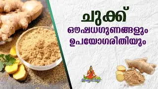 ചുക്ക് ഉപയോഗിച്ചാലുള്ള ആരോഗ്യ ഗുണങ്ങൾ  | chukku | dry ginger benefits
