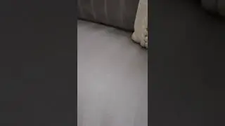 Лайфхаки от Scrub Daddy, которые изменят вашу жизнь! 🧼