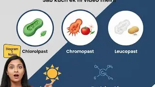 General science! Plastids ll #biology #bpsc #generalscience #plastids #upsc #cellbiology 