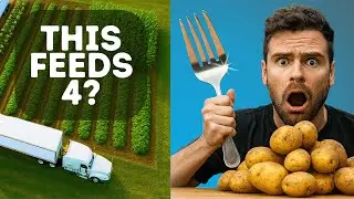 How Much Food to Feed a Family for a Year &mdash; You&rsquo;ll Be Surprised