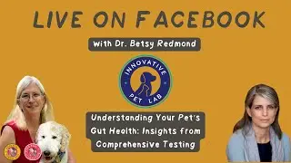 Understanding Your Pet's Gut Health: Insights from Comprehensive Testing