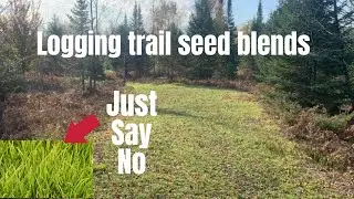 Are logging road seed blends a waste of money.