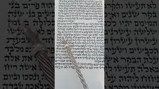 קריאת התורה מפטיר חג הפסח אפרים החזן - Kriat Hatorah Maftir Passover Holiday Efraim Hachazan