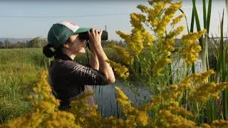 NRRI Bird Research Informs Land Use Management