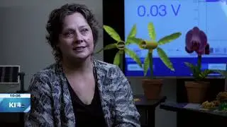 STEM Pre-Academy Toolkit for Teachers! (KITV Island News at 10pm, July 13, 2025)