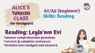 Turkish (Beginner): Text analysis *read & answer questions & correct sentences