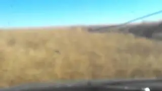 Driving thru Tumble-weeds
