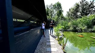 Modern Koi Blog #4193 - Diesen gravierenden Temperaturunterschied kann eine Beschattung bewirken