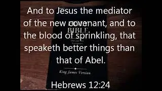 Dr Scott Johnson The True Gospel Audio Part 3