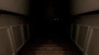 Disturbing Noises in House Basement / Real Ghost Videos 8