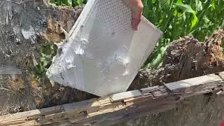 Bullet Proof Wall?