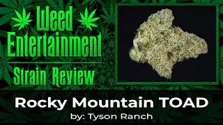 Rocky Mountain Toad - by Tyson Ranch - Strain Review - January 2023