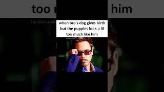 WAIT a minute   🥀💔 #meme #funny #shorts #memes  #funnymeme #funnymemes