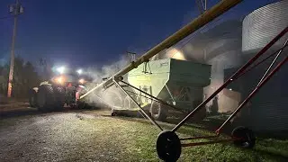 Transferring Corn from the Dryer Bin