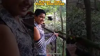 Singapore|Jurong Bird Park|Best Tourist Spot|Largest bird aviary in Asia