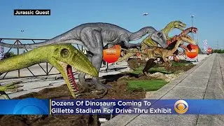 Dozens Of Dinosaurs Coming To Gillette Stadium For Drive-Thru Exhibit