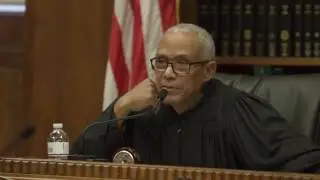 Trial Practice: Criminal and Civil Litigation