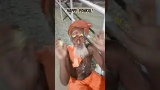 Happy Ponkal! #pongal #ponkal #madurai
