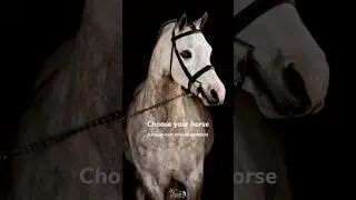Choose your horse! Unique coat colours addition🤩