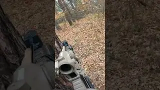 Forest airsoft #shortvideo #airsoftmilsim #airsoftgameplay #milsim