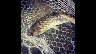 Fly Fishing South East PA Part 2
