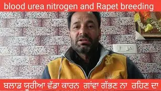 Blood Urea Nitrogen and Repeat Readings: Causes and Solutions