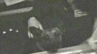 Robertas fotelyje su Rikiu (1971&ndash;1973)
