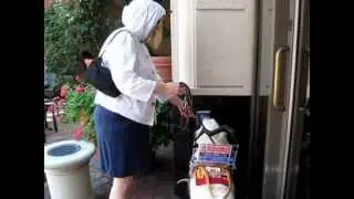 Encouraging A Solution to Public Access Problem for People With Disabilities