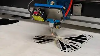 Detail laser cut and engraving on autofocus system