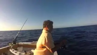 The Deep Sea - USVI