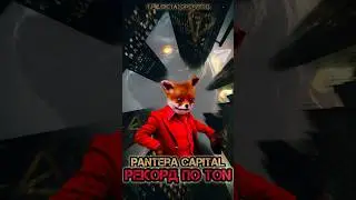 РЕКОРД ИНВЕСТИЦИЙ В TON PANTERA CAPITAL #telegram #dictatorcrypto #TON #panteracapital