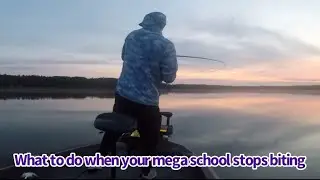 SUMMERTIME OUTSIDE WEED LINE LARGEMOUTH BASS FISHING MEGA SCHOOL