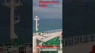 Ships Traffic in Singapore Straits #captainpopeyethesailor #merchantnavyshorts #shiptraffic #ships