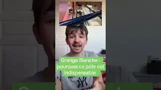 Grange Blanche = m&eacute;tro D + p&ocirc;le sant&eacute; + correspondances : hub vital du quotidien.