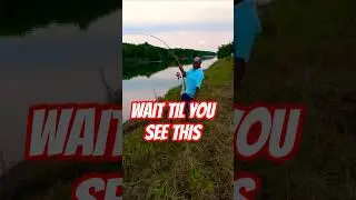BEHEMOTH ALERT! #fishing #fish #fyp #shorts #shortsvideo #angler #gar