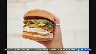 Burger Lounge test kitchen seeking diner's input on new vegan burger