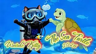 The Sea Turtle 2026