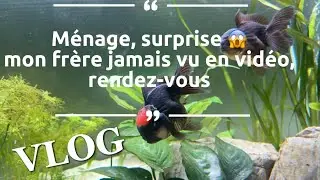 🎥 Vlog : Ménage, surprise 😱 mon frère jamais vu en vidéo, Too Good To Go , rendez-vous ……
