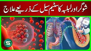How Stem Cell Therapy Helps Diabetes & Pancreas | Explained by Dr. Fayyaz Ahmed