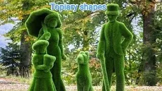 How to Create Different Types of Topiary shapes in your garden