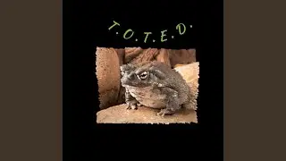 T.O.T.E.D.