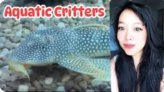 Fun Tuesday with Friend / Aquatic Critters