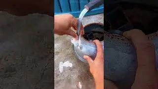 Convenient repair tools for aluminum kettle handles 🫖🛠️🔧