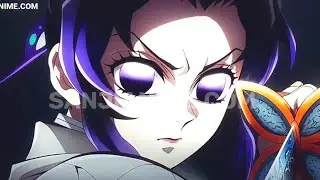 [OUTDATED] Kimetsu no Yaiba (Demon Slayer) All Insect Breathing Forms !!Updated Version in Desc!!