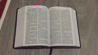 Holman Bible KJV LARGE PRINT COMPACT Leathertouch B&H Publishing