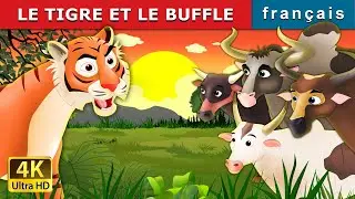LE TIGRE ET LE BUFFLE | Tiger and Buffaloes in French | Contes De F&eacute;es Fran&ccedil;ais |@FrenchFairyTales