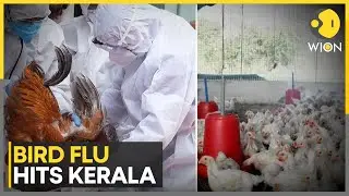 Bird Flu Hits India: A Pandemic Risk Worse Than Covid? | WION