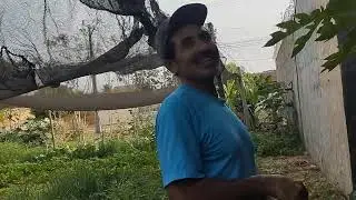 Daniel  e sua horta !!! tudo natural
